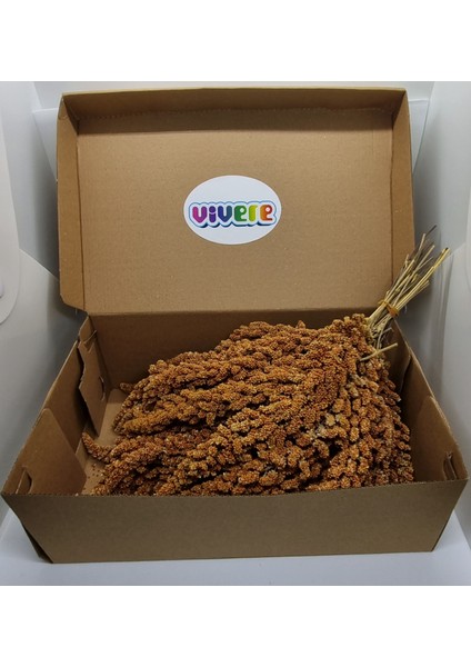 Kızıl Dal Darı 250 gr