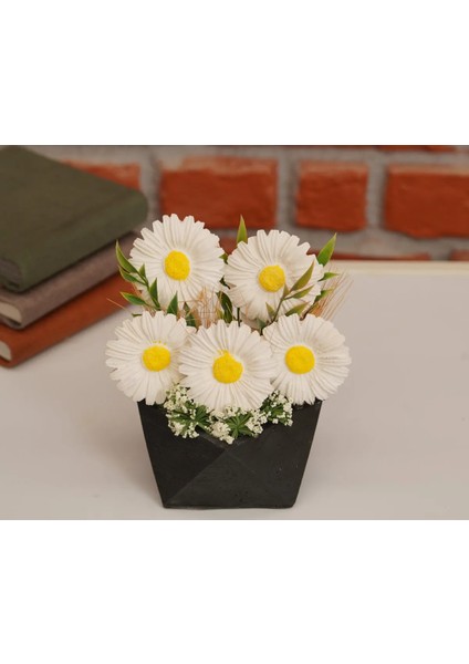 Büyük Geometrik Taş Saksıda Asil Papatyalar Kokulu Taş Çiçek Aranjmanı