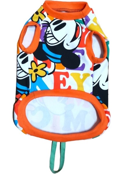 Kedi Köpek Kıyafetleri Renkli Yazılı Tshirt fiyatları