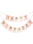 Diva Lol Surprise 4 Yaş Balon Seti Lol Bebek Balon Seti Lol Doğum Günü Parti Seti 3