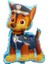 Paw Patrol Balon Seti Paw Petrol Balon Seti Paw Patrol Doğum Günü Set Paw Patrol Chase 2