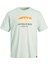 Jortulum Logo Tee Ss Crew Neck Ln Beyaz Erkek T-shirt 12234214-Pale 3
