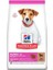 Hills Small Miniature Kuzulu Yavru Köpek Maması 6kg 1