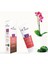 Detox Day Cream Gece ve Gündüz Kremi 2'li Set 3