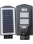 CT-4691 40W Solar Sokak Armatürü- Beyaz Işık AYDNLTMDNYM-CT-4691 2