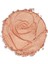 Physicians Formula Rose All Day Petal Glow Aydınlatıcı Petal Pink - Pembe 3