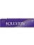 Koleston Single Tüp Boya 3/66 Patlican Moru 2