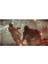 Guerrilla Killzone: Shadow Fall Ps4 Oyun 4