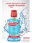 Plax Nane Ferahlığı Alkolsüz Ağız Bakım Suyu 500 ml + Plax Taze Nane 250 ml x 2 Adet 2