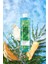 Senses Secret Lagoon Su Meymeleri ve Misk Kokulu Duş Jeli 250 Ml. 3