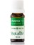 Okaliptus Yağı Saf 10ML 1