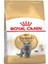 British Shorthair Kedi Maması 4 kg 1