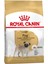 Yetişkin Pug Irkına Özel Köpek Maması 1,5 kg (Original) 1