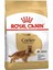 Cocker Adult Yetişkin Köpek Maması 3 kg 1