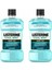 Cool Mint 250ML 2 Adet 1