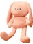YY Store Tavşan Bebek Peluş Oyuncak Büyük Uzun Bacaklar Pembe Tavşan (Yurt Dışından) 1