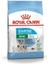 Mini Starter Mother Babydog 4 kg x 2 Adet 1