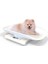 Küçük Pet Ölçek Dijital Taşınabilir Köpek Kedi Ölçeği Elektronik Mutfak Gıda Ölçeği ile LCD Ekran (Yurt Dışından) 2
