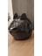 Canerege Motosiklet Kask Kedi Kulağı Süsü 5