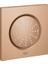 Rainshower F-Series 5" Yan Duş - 27251DL0 1