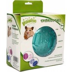 Pawise Hamster Egzersiz Oyun Topu 17,5 Cm