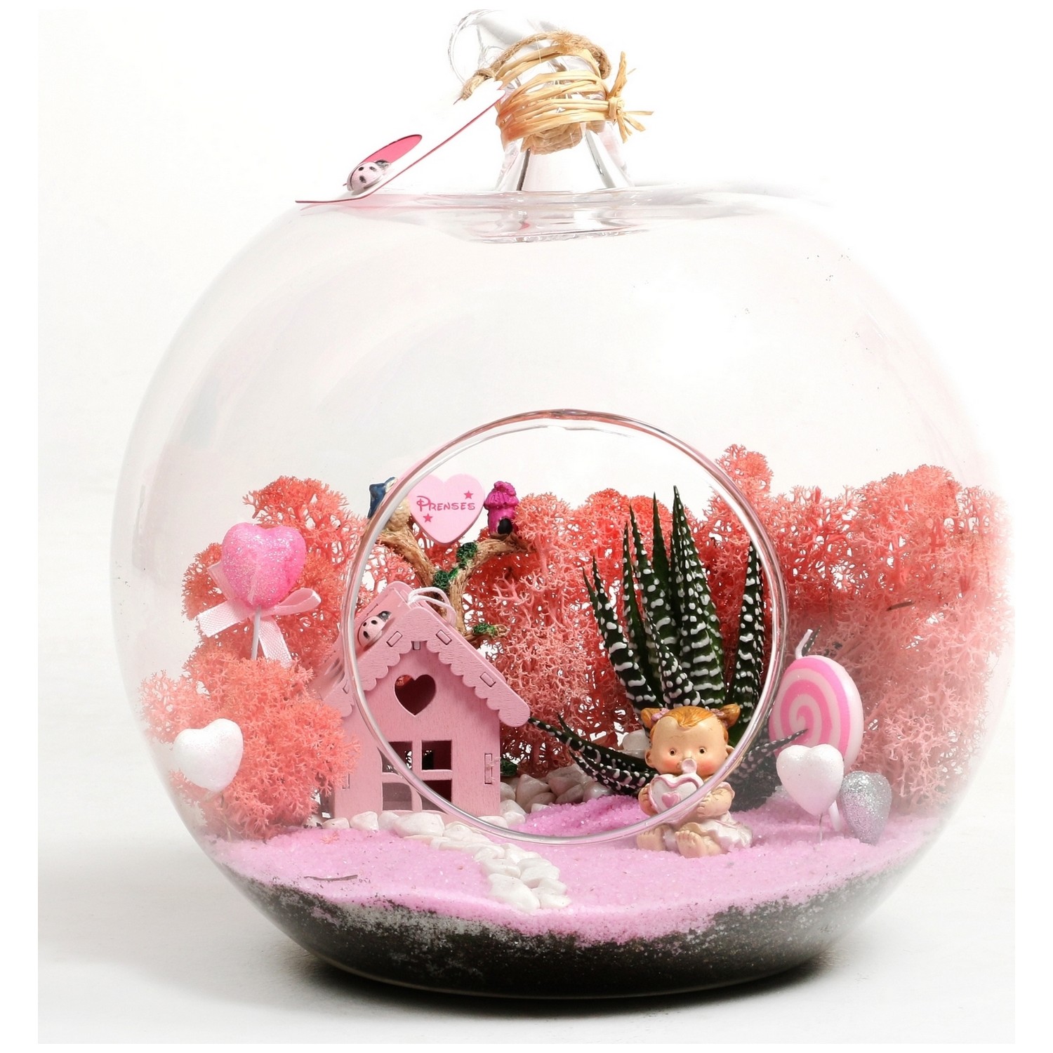 Bonsai Dünyası Profesyonel Kız Bebek Teraryum Seti Full