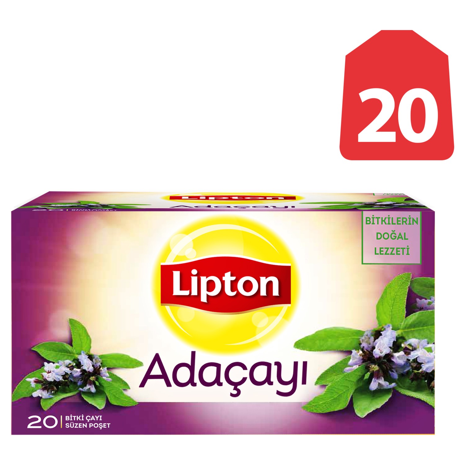 Adaçayı ve Ekinezya Adaçayı ve Ekinezya