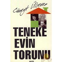 Teneke Evin Torunu