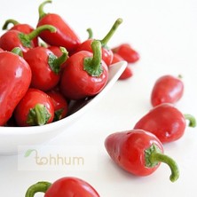 Tohhum Kiraz Cherry Biber Tohumu [Tohhum Ev Bahçe]