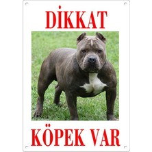 Dikkat Köpek Var Uyari Levhasi (Renkli Pitbull)