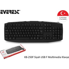 Everest KB-250F Siyah Tamamen Türkçe F Multimedia  USB Klavye