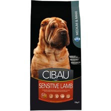 Cibau Adult Sensitive Lamb Medium & Maxi Kuzulu Yetişkin Köpek Mama 12 Kg