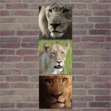 Cakasepetim Ahşap Tablo Kaplan Ve Aslanlar Baskılı 14X14 Cm 3 Parça