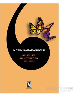 Melekleri Ürkütmeden-Metin Karabaşoğlu