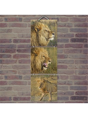 Cakasepetim Ahşap Tablo Saldırgan Aslan Baskılı 14X14 Cm 3 Parça