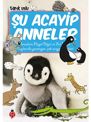 Şu Acayip Anneler - Tarık Uslu