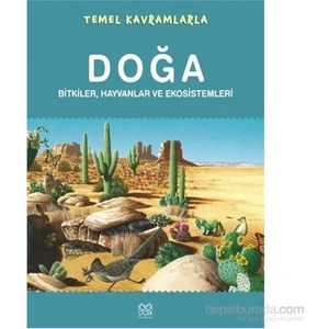 Temel Kavramlarla- Doğa - Bitkiler, Hayvanlar Ve Ekosistemleri-Ruth Symons