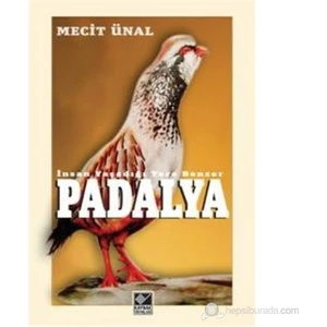 Padalya-Mecit Ünal