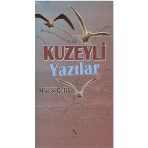 Kuzeyli Yazılar - Bordo Mavi Sevdaluk - Harun Çelik