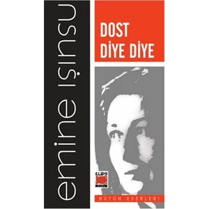 Dost Diye Diye-Emine Işınsu