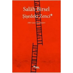 Şişedeki Zenci 1001 Gece Denemeleri - Salah Birsel