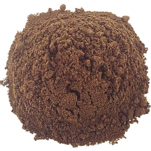 Yeni Bahar Toz 100gr