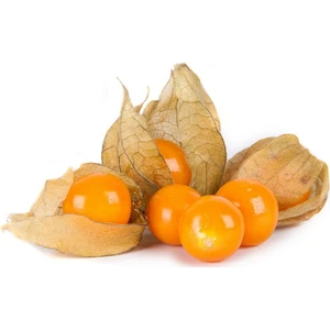 Goldenberry Altın Çilek [Tohhum Ev Bahçe]