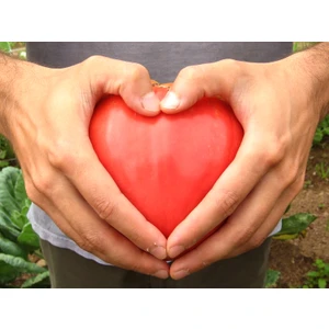 Kalp Domates * (Oxheart Heırloom) [Tohhum Ev Bahçe]