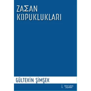 Zaman Kopuklukları