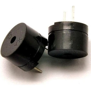 RobotTR Arduino Buzzer Hoparlör - Pasif Buzzer Raspberry Buzzer Hoparlör