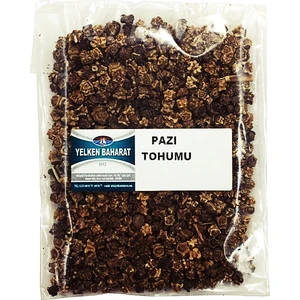 Pazı Tohumu 100Gr