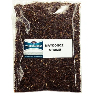 Maydanoz Tohumu 100Gr
