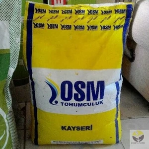 Osm Kayseri Yonca Tohumu 10 Kg Yonca