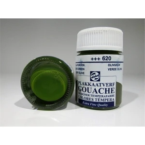 Guaj Boya 16Ml Olive Green 620